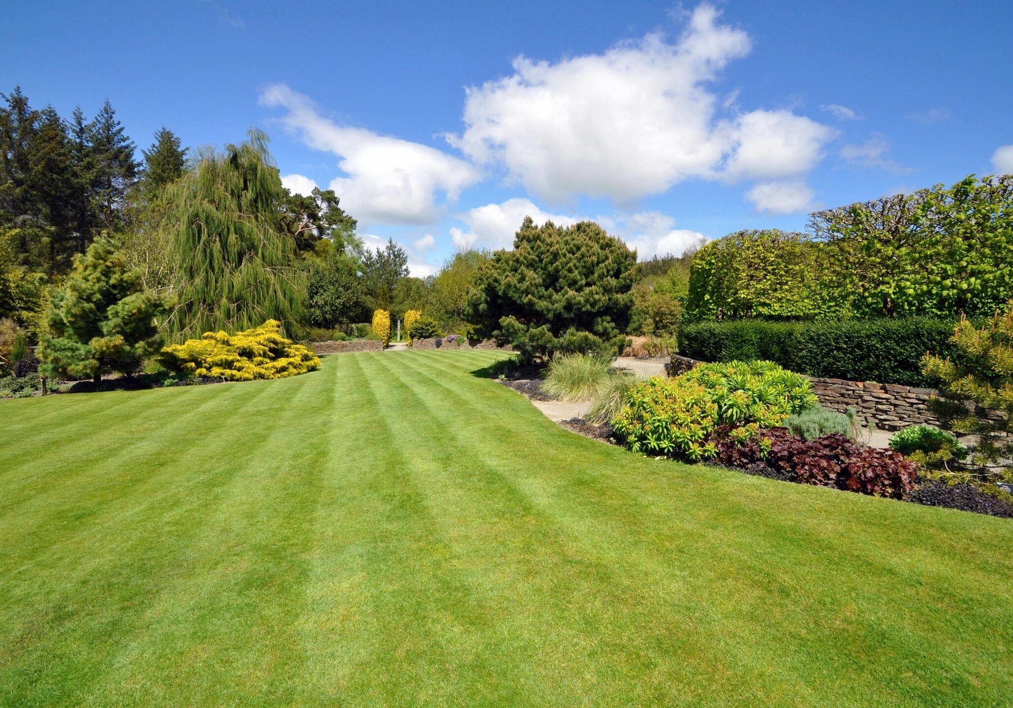 A green lawn with trees and shrubs.